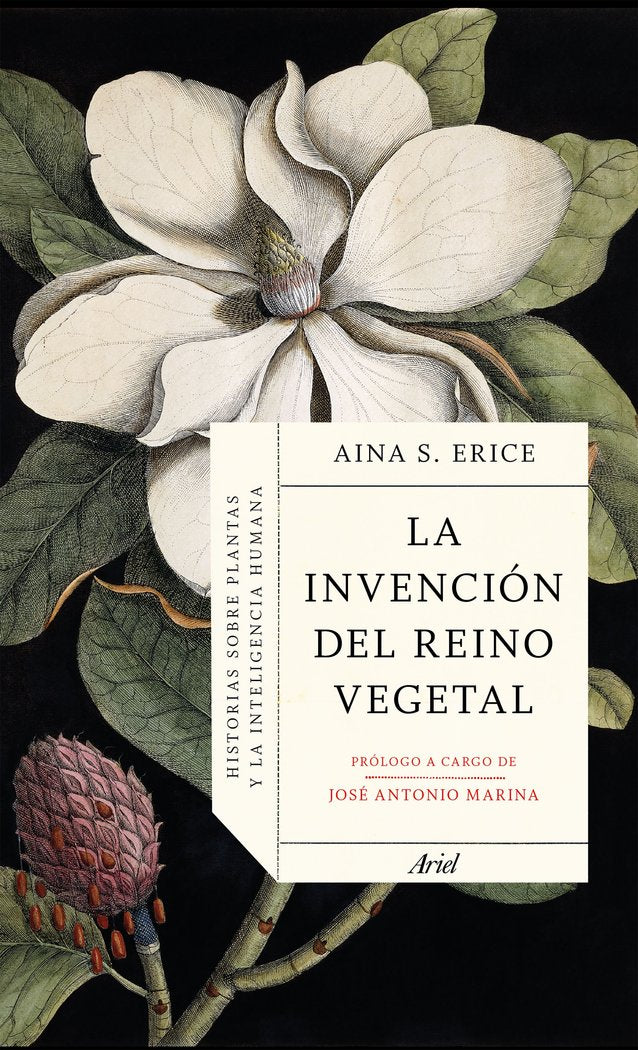 LA INVENCION DEL REINO VEGETAL, de AINA S. ERICE | portada del libro
