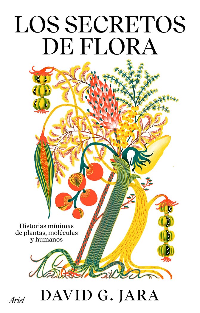 LOS SECRETOS DE FLORA, de DAVID GONZALEZ JARA | portada del libro