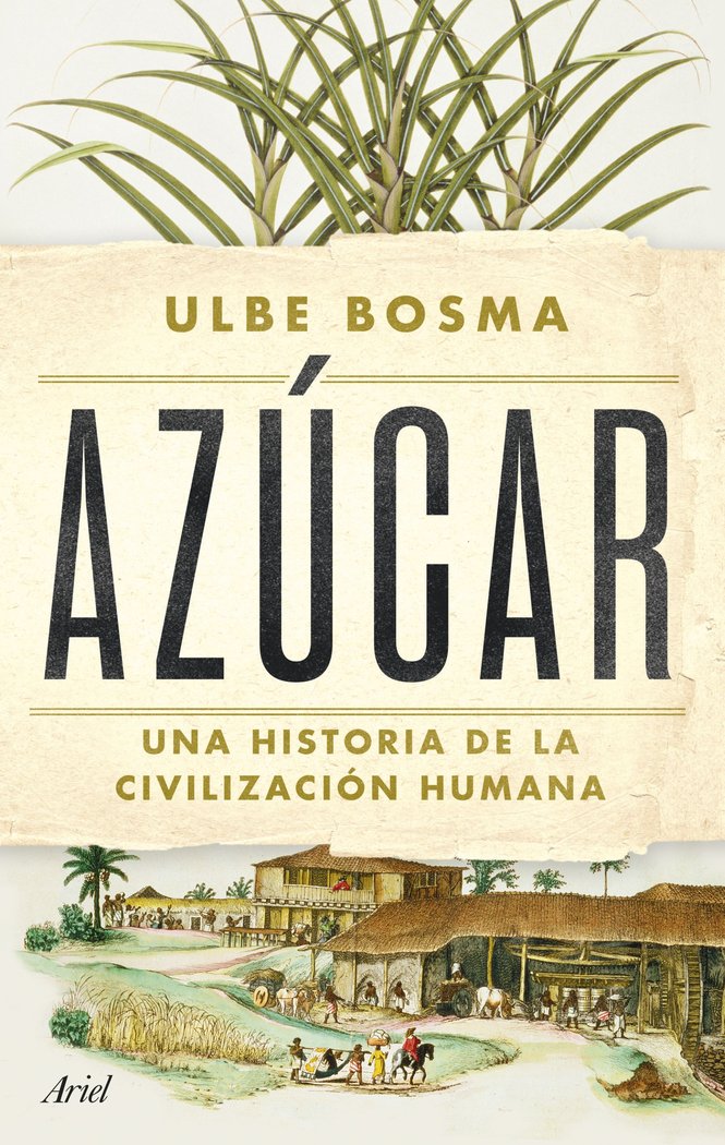AZUCAR, de BOSMA, ULBE | portada del libro