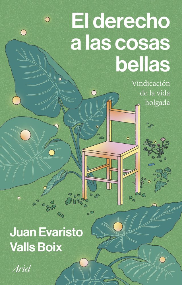 EL DERECHO A LAS COSAS BELLAS, de JUAN EVARISTO VALLS BOIX | portada del libro