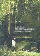 Arqueología en el cinturón forestal de guinea ecuatorial, de Martí Lezana, Raquel | portada del libro