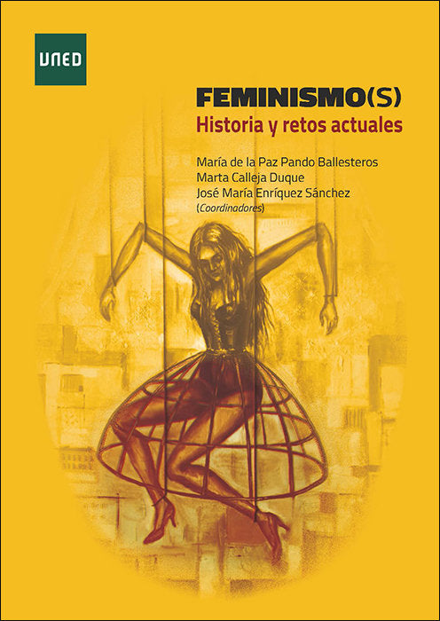 Feminismo(s). Historia y retos actuales | portada del libro