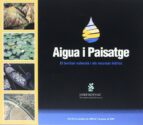 Aigua i paisatge. El territori valencià i els recursos hídrics, de Ramon Folch | portada del libro