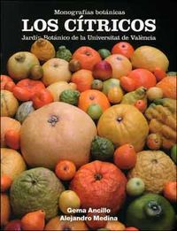 Los cítricos, de Ancillo, Gema | portada del libro