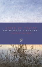 CANTO UN PAJARO : ANTOLOGIA ESENCIAL, de Vicente Gallego | portada del libro