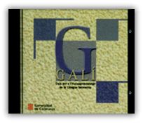 GALI, GUIA PER L'AUTOAPRENENTATGE DE LA LLENGUA INTERACTIU, de AA.VV. | portada del libro