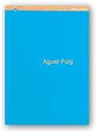 AUGUST PUIG. CENTRE D'ART SANTA MONICA, SETEMBRE-NOVEMBRE DE 2000, de AA.VV. | portada del libro