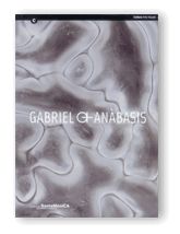 GABRIEL ANABASIS, de AA.VV. | portada del libro