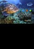 Recursos marins del Mediterrani. Fauna i flora del mar català, de Lloris , Domènec | portada del libro