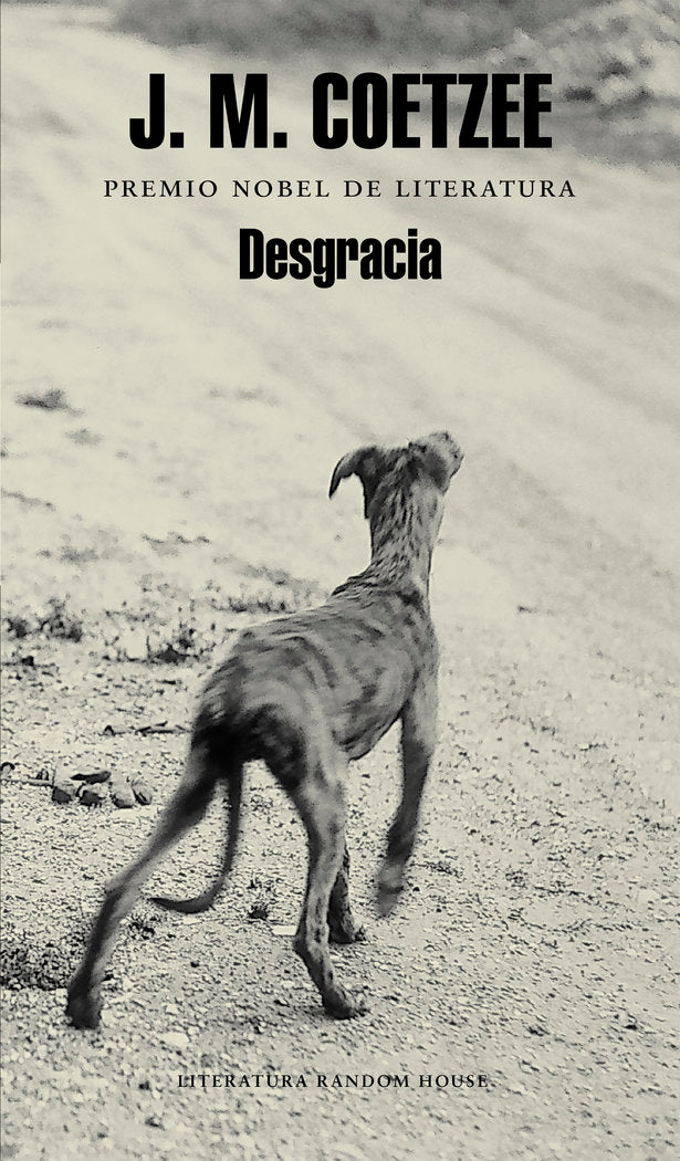 Desgracia, de Coetzee | portada del libro