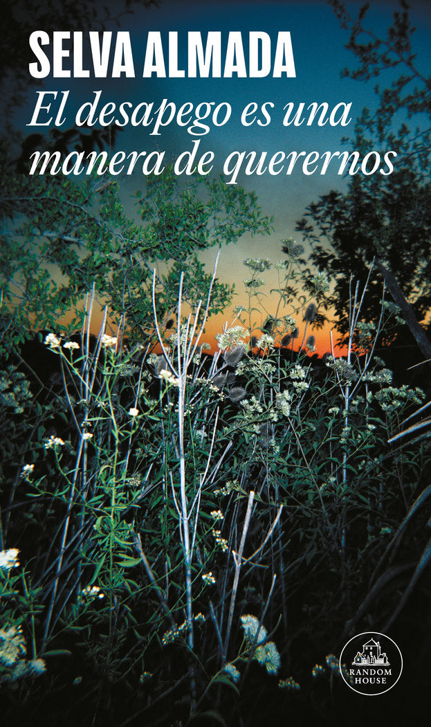 El desapego es una manera de querernos (Mapa de las lenguas), de Almada, Selva | portada del libro