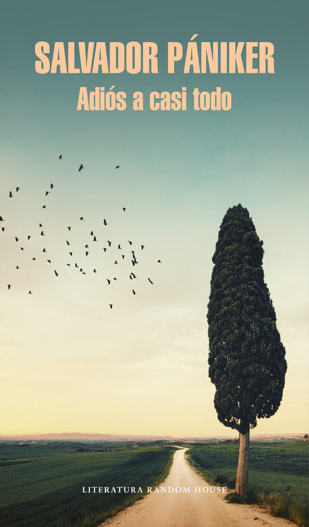 Adiós a casi todo (Diarios de Pániker 5), de Pániker, Salvador | portada del libro