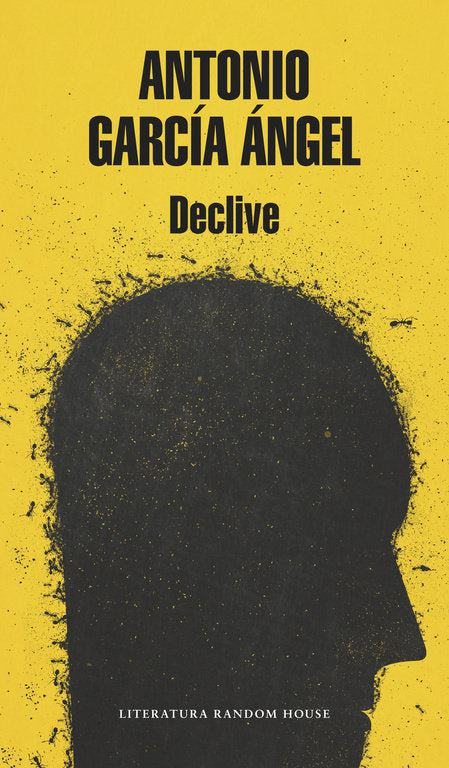 Declive (Mapa de las lenguas), de García Ángel, Antonio | portada del libro