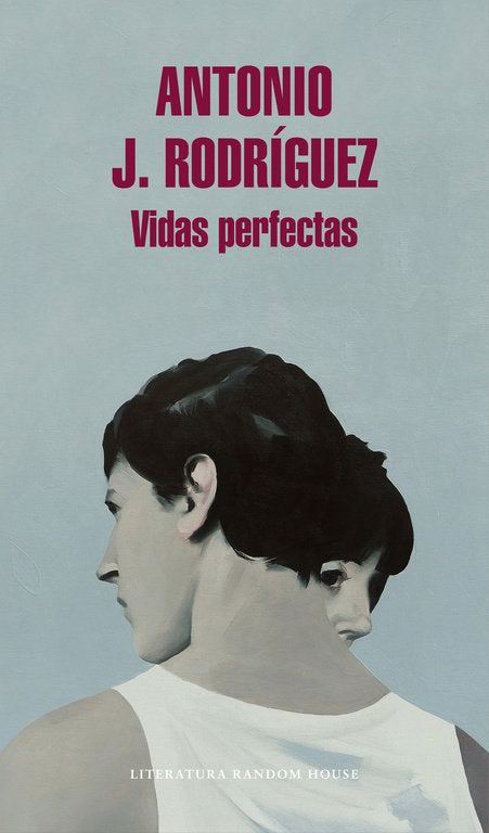 Vidas perfectas, de Rodríguez, Antonio J. | portada del libro