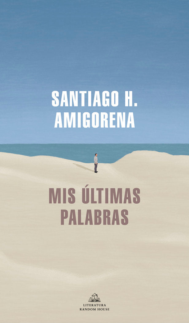 MIS ULTIMAS PALABRAS, de AMIGORENA, SANTIAGO H. | portada del libro