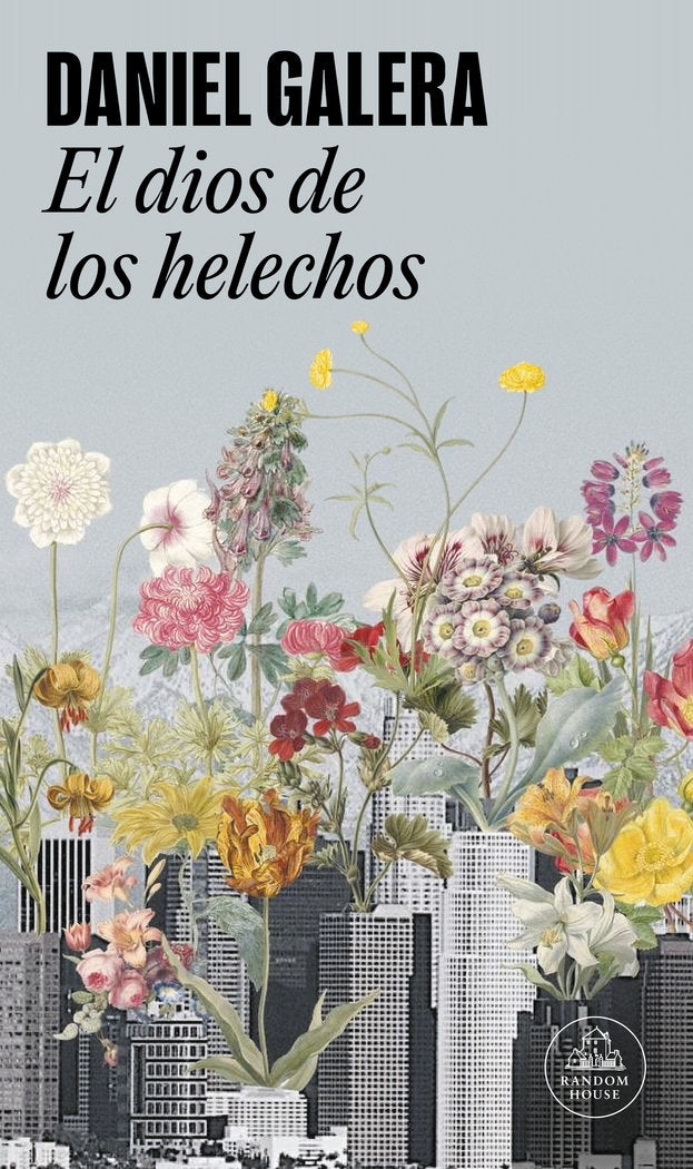 EL DIOS DE LOS HELECHOS, de DANIEL GALERA | portada del libro