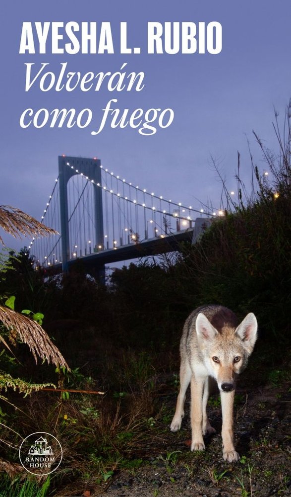 VOLVERAN COMO FUEGO, de AYESHA L RUBIO | portada del libro