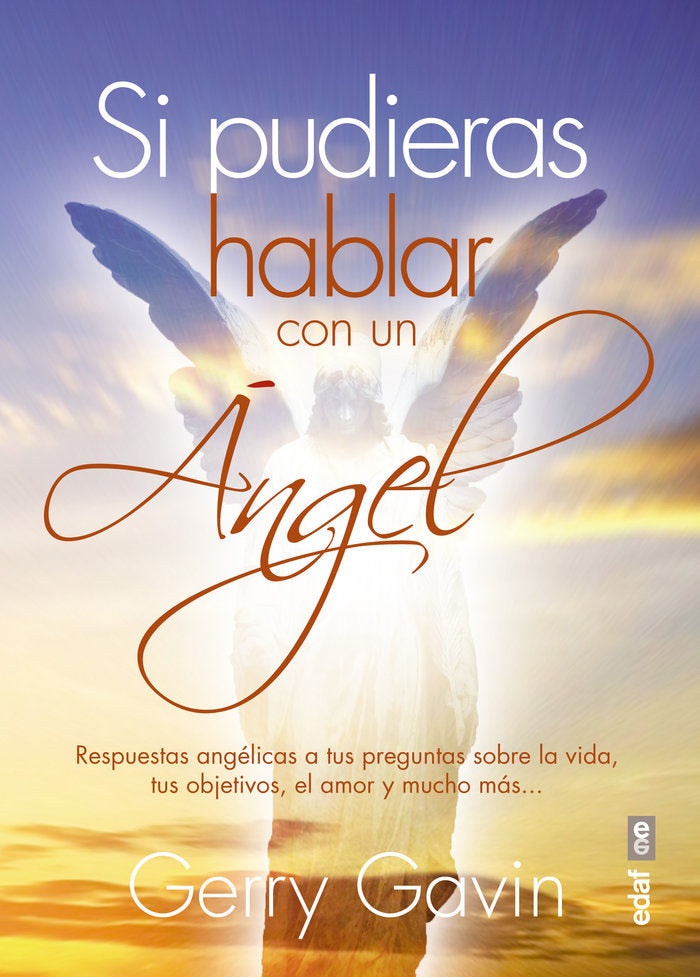 Si pudieras hablar con un Ángel, de Gavin, Gerry | portada del libro