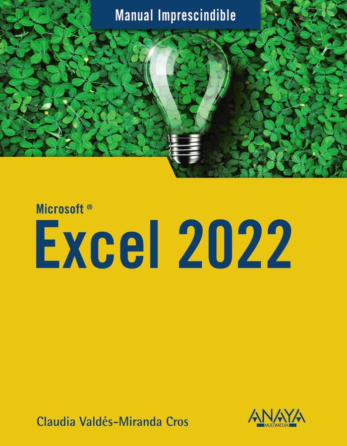 Excel 2022, de VALDES-MIRANDA, CLAUDIA | portada del libro
