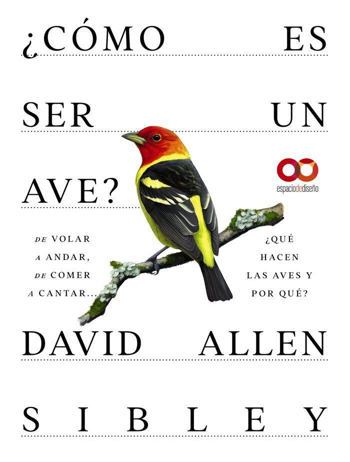 COMO ES SER UN AVE DE VOLAR A ANIDAR DE COMER A CANTAR... Q, de ALLEN SIBLEY, DAVID | portada del libro