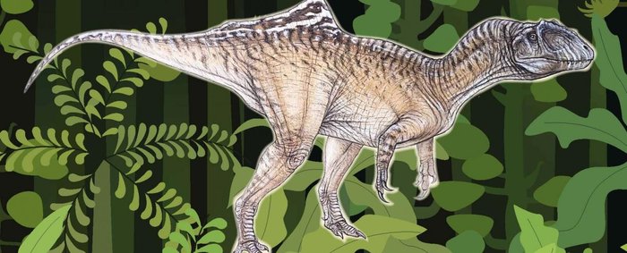 CAZADORES DE DRAGONES, de VARIOS AUTORES | portada del libro