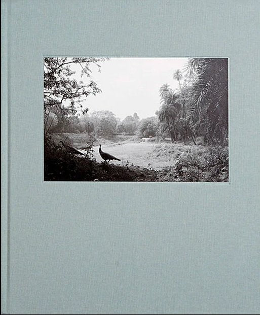 THE RIDGE, de LOPEZ GARCIA DEL MORAL, PABLO | portada del libro