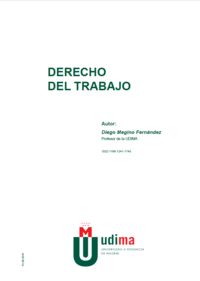 DERECHO DEL TRABAJO, de MEGINO FERNÁNDEZ, DIEGO | portada del libro