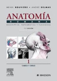 Cabeza y cuello | portada del libro