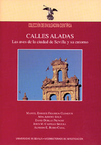 CALLES ALADAS | portada del libro