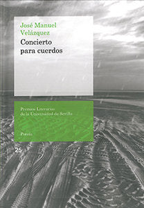 Concierto para cuerdos, de Velázquez Pérez, José Manuel | portada del libro