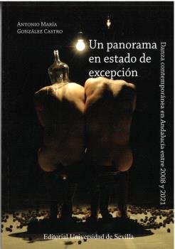 UN PANORAMA EN ESTADO DE EXCEPCION, de GONZALEZ CASTRO, ANTONIO MARIA | portada del libro