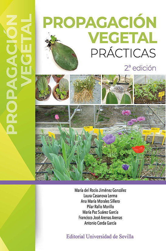 PROPAGACION VEGETAL PRACTICAS, de CERDA GARCIA, ANTONIO | portada del libro
