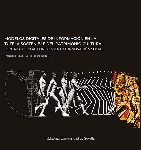 MODELOS DIGITALES DE INFORMACION EN LA TUTELA SOSTENIBLE DEL, de PINTO PUERTO, FRANCISCO | portada del libro