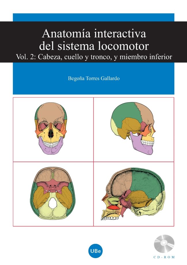 Anatomía interactiva del sistema locomotor. Volumen II: Cabeza, cuello y tronco, y miembro inferior, de Torres Gallardo | por