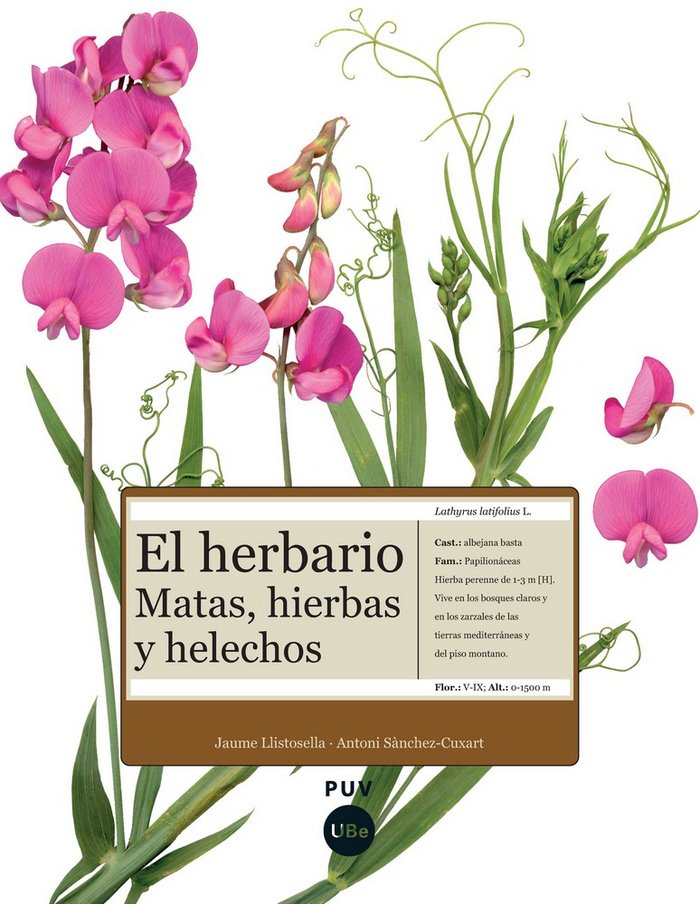 El herbario: matas, hierbas y helechos, de Sànchez Cuxart | portada del libro