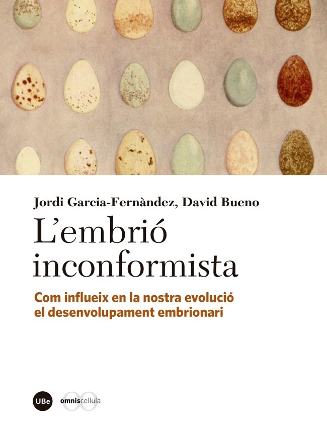 LÆembrió inconformista, de Bueno Torrens, David | portada del libro