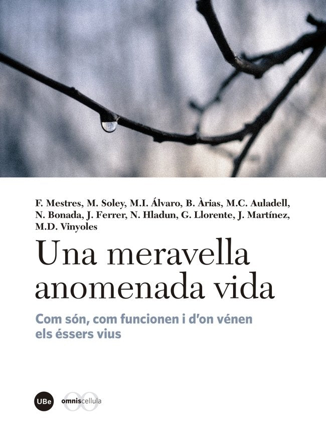 Una meravella anomenada vida, de Varios autores | portada del libro
