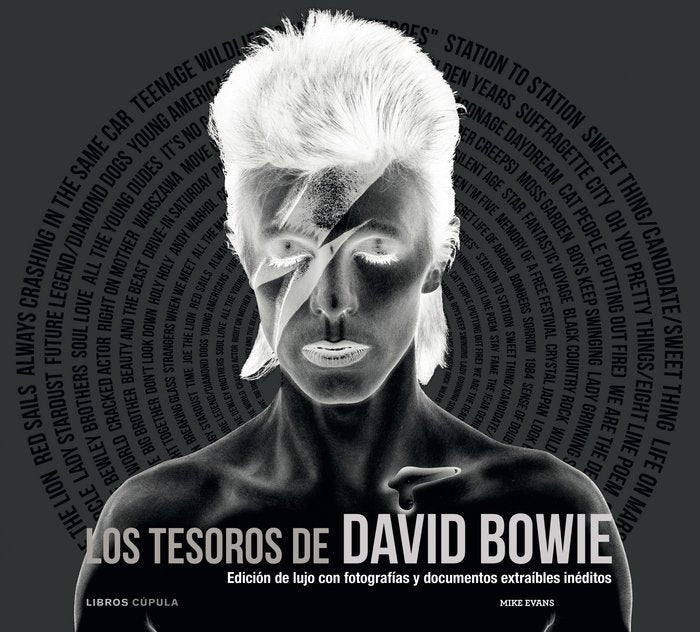 Los tesoros de David Bowie, de Evans | portada del libro
