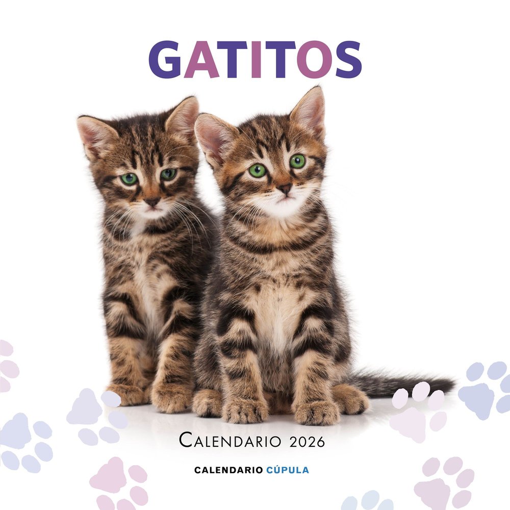 Calendario Gatitos 2026 | portada del libro