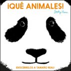 ¡Qué animales!, de SOPHIE HENN | portada del libro