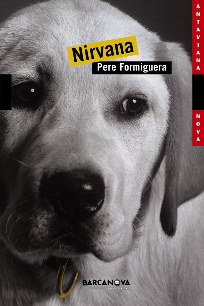 Nirvana, de Formiguera, Pere | portada del libro