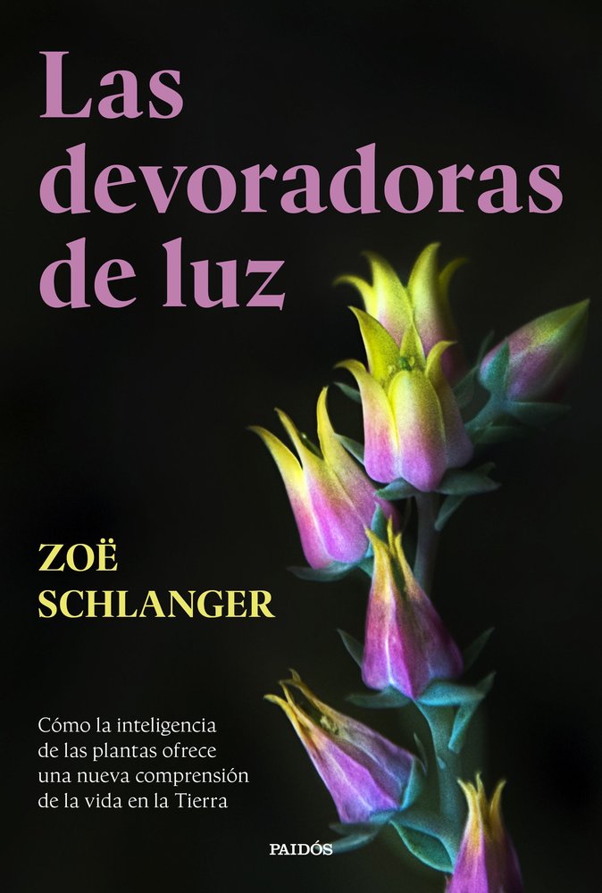 LAS DEVORADORAS DE LUZ, de ZOE SCHLANGER | portada del libro