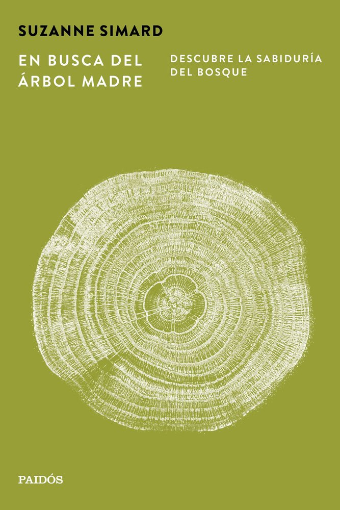 EN BUSCA DEL ARBOL MADRE, de SUZANNE SIMARD | portada del libro