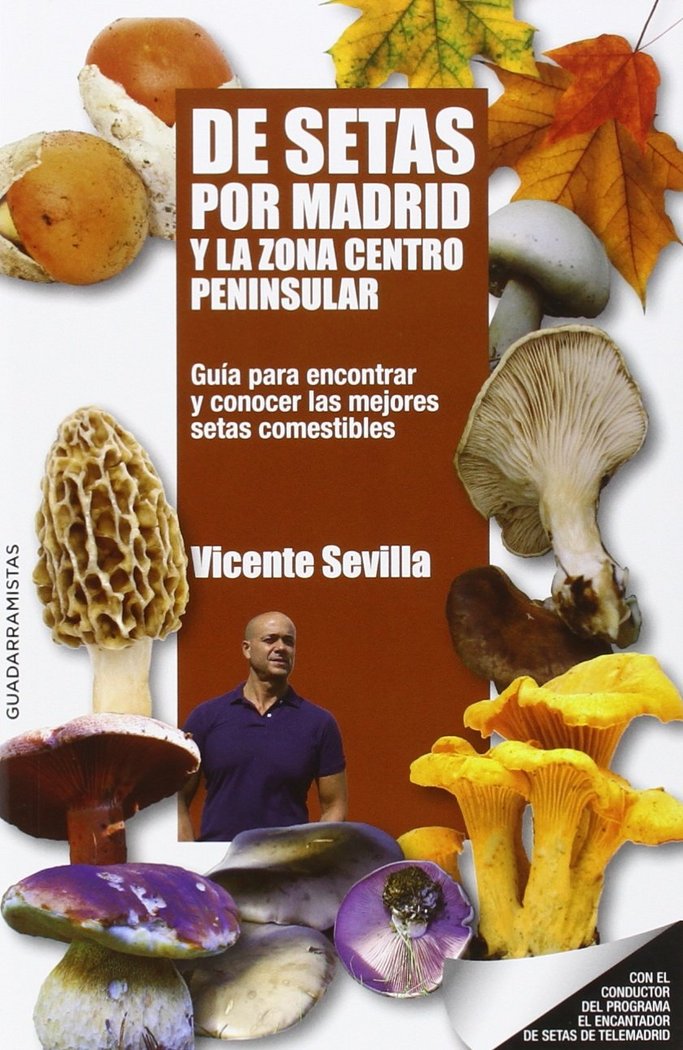 DE SETAS POR MADRID Y LA ZONA CENTRO PENINSULAR, de SEVILLA, VICENTE | portada del libro