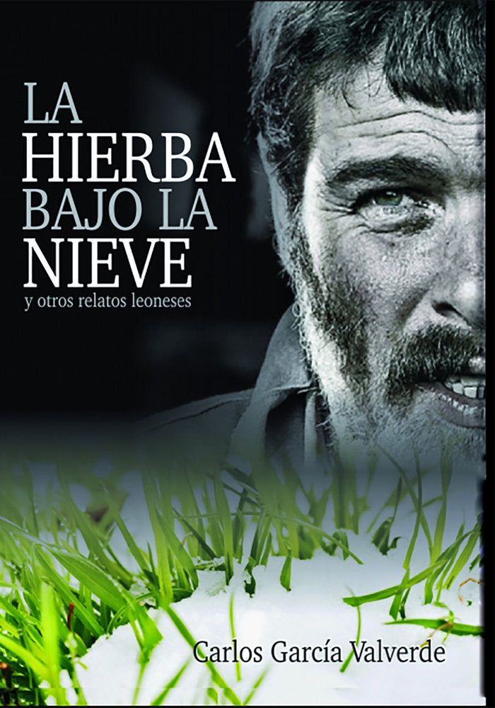 LA HIERBA BAJO LA NIEVE y otros relatos leoneses, de García Valverde, Carlos | portada del libro