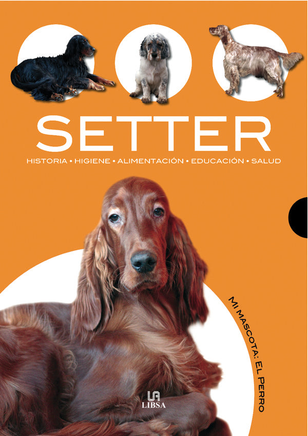 Setter, de VILLAHIZAN | portada del libro