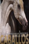 Horses | portada del libro