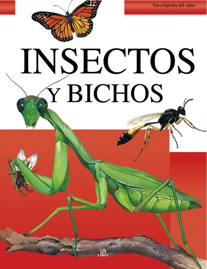 Insectos y Bichos, de COOMBS | portada del libro