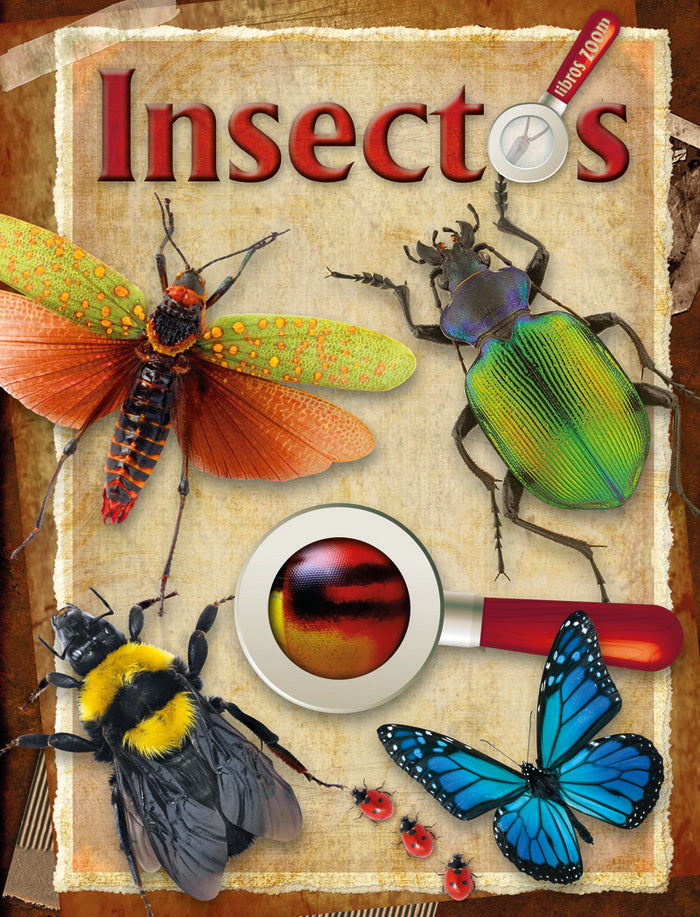 Insectos, de AA.VV. | portada del libro