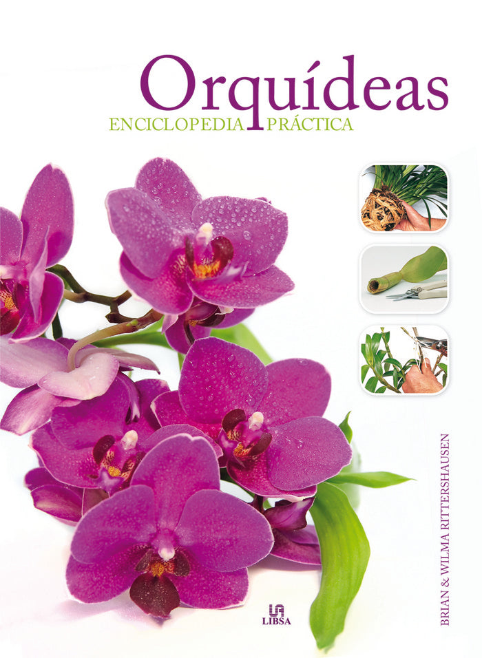 Orqu¡deas Enciclopedia Práctica, de RITTERSHAUSEN | portada del libro